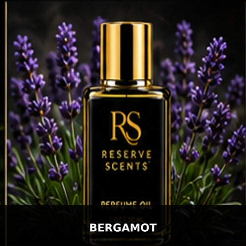 Bergamot Perfume Oil | Reserve Scents