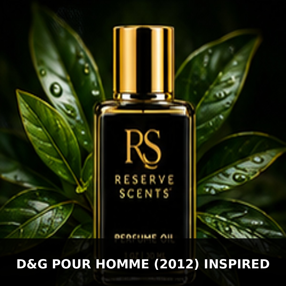 D&G Pour Homme (2012) Inspired Perfume Oil | Reserve Scents