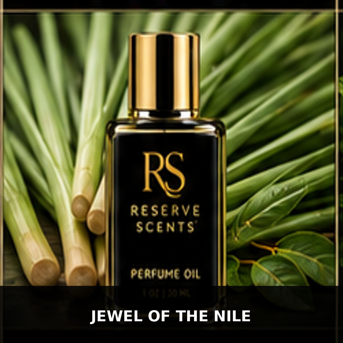 Jewel Of The Nile Perfume Oil | Reserve Scents
