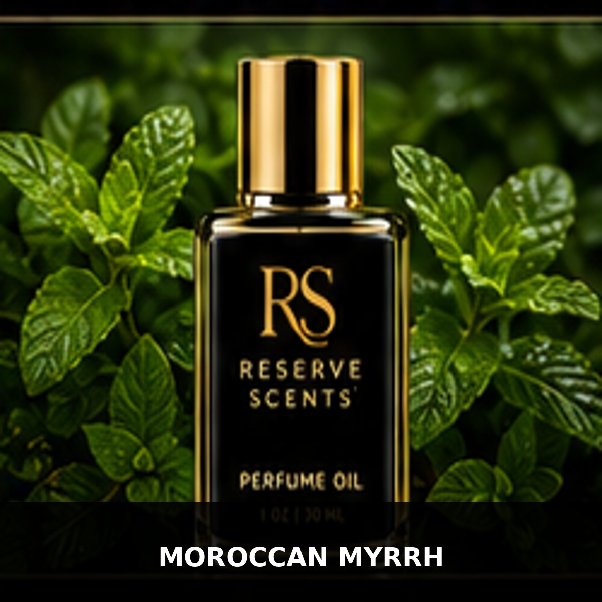 Moroccan Myrrh Perfume Oil | Reserve Scents