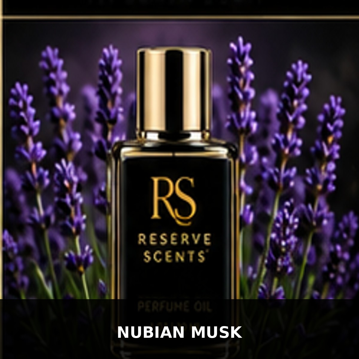 Nubian Musk Perfume Oil | Reserve Scents