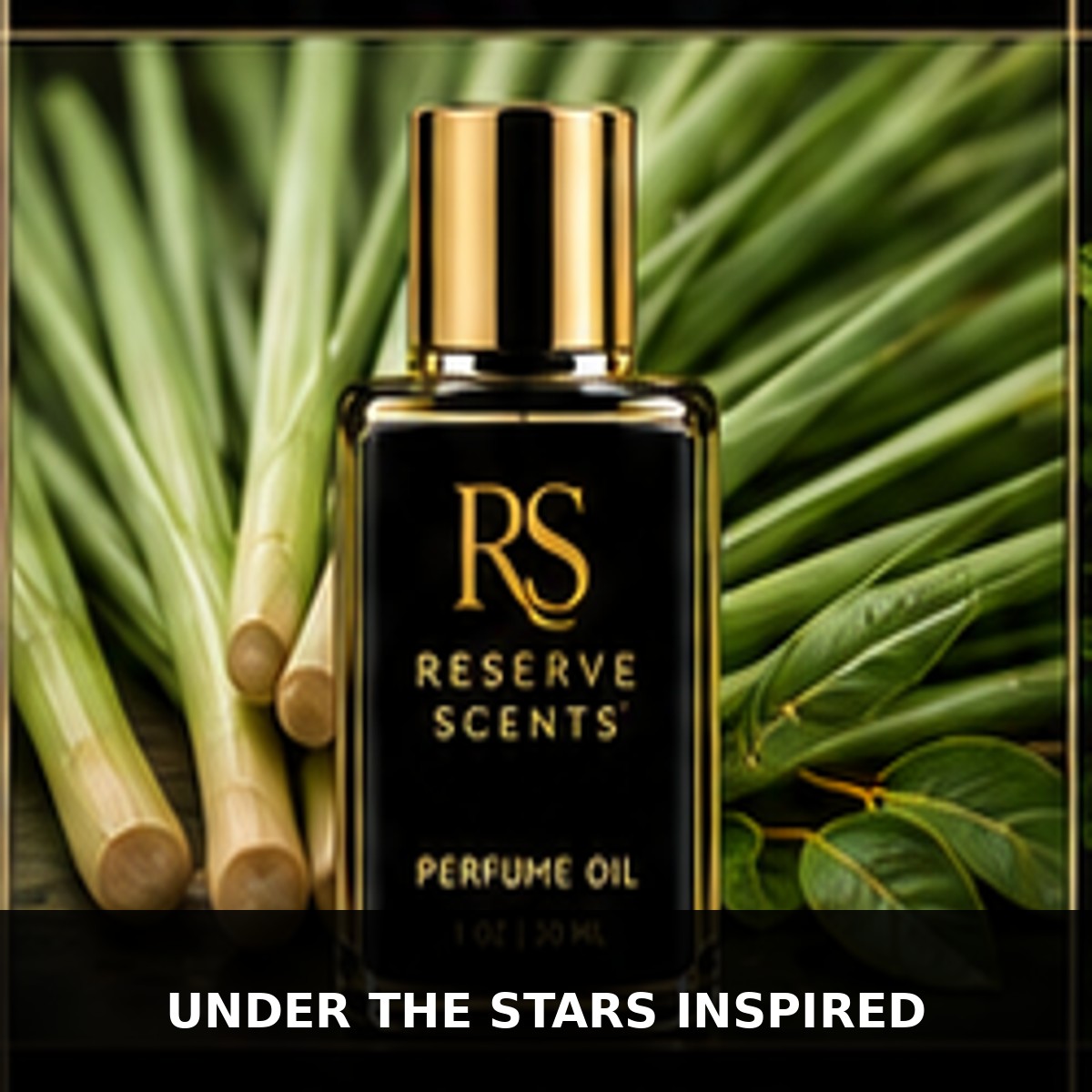 Under the Stars Inspired Perfume Oil | Reserve Scents